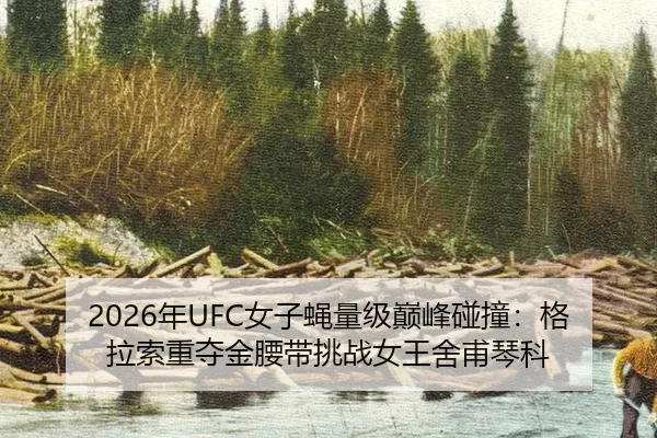 2026年UFC女子蝇量级巅峰碰撞：格拉索重夺金腰带挑战女王舍甫琴科